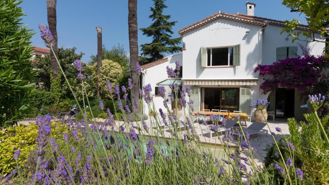 Villa Tsavorite - Cannes Californie Eksteriør billede