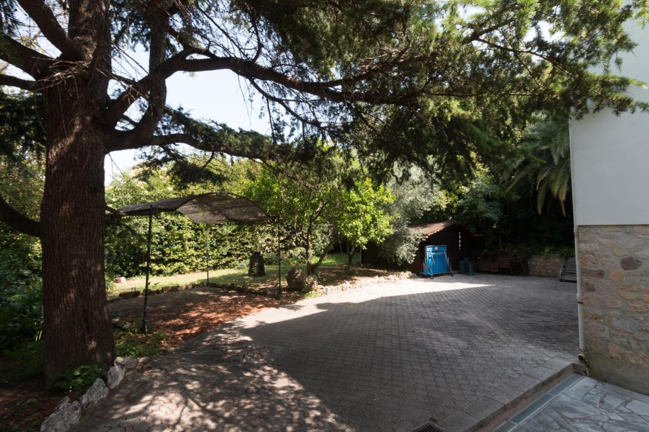 Villa Tsavorite - Cannes Californie Eksteriør billede